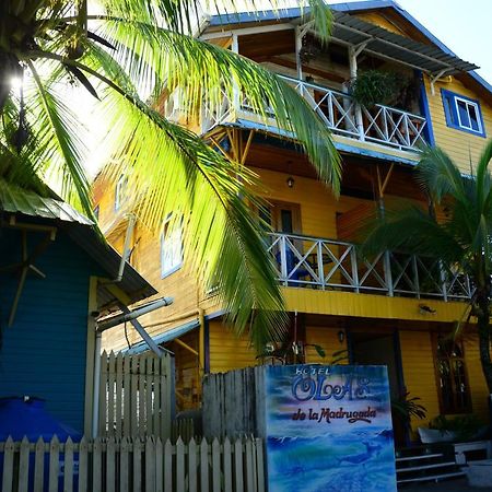Hotel Olas بوكاس تاون المظهر الخارجي الصورة