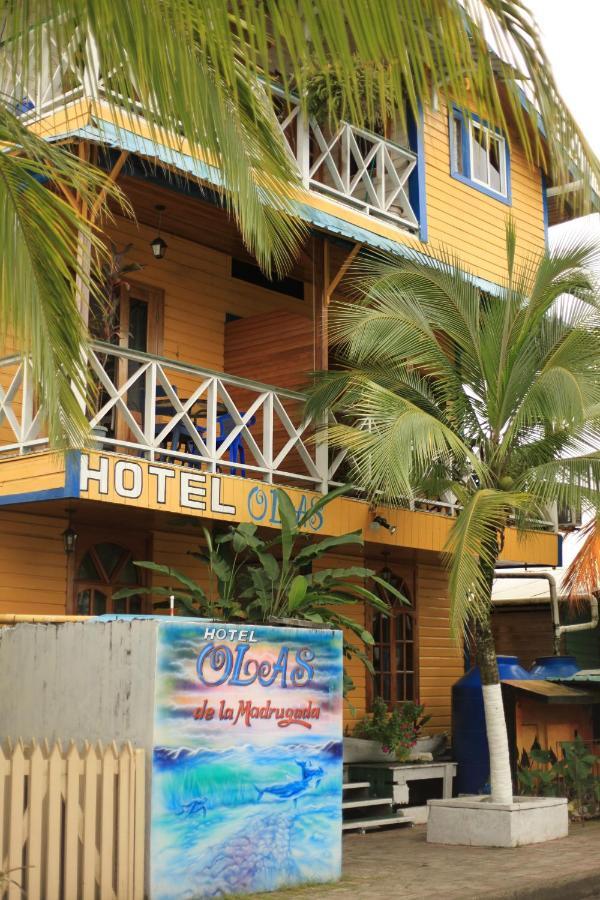 Hotel Olas بوكاس تاون المظهر الخارجي الصورة